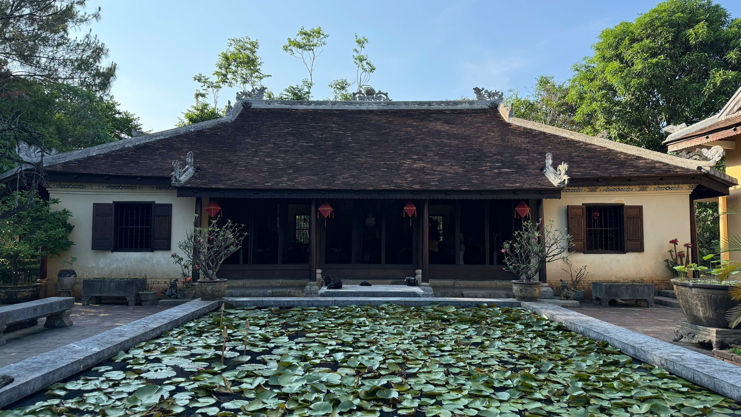 Những địa điểm tham quan cực đẹp lân cận homestay Fairy's House